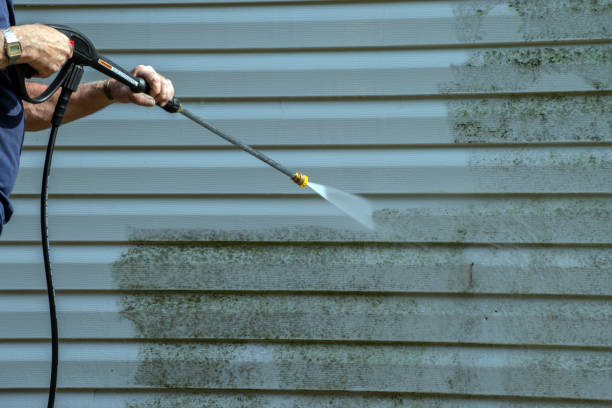 Best Solar Panel Cleaning  in Eagle Lake, FL